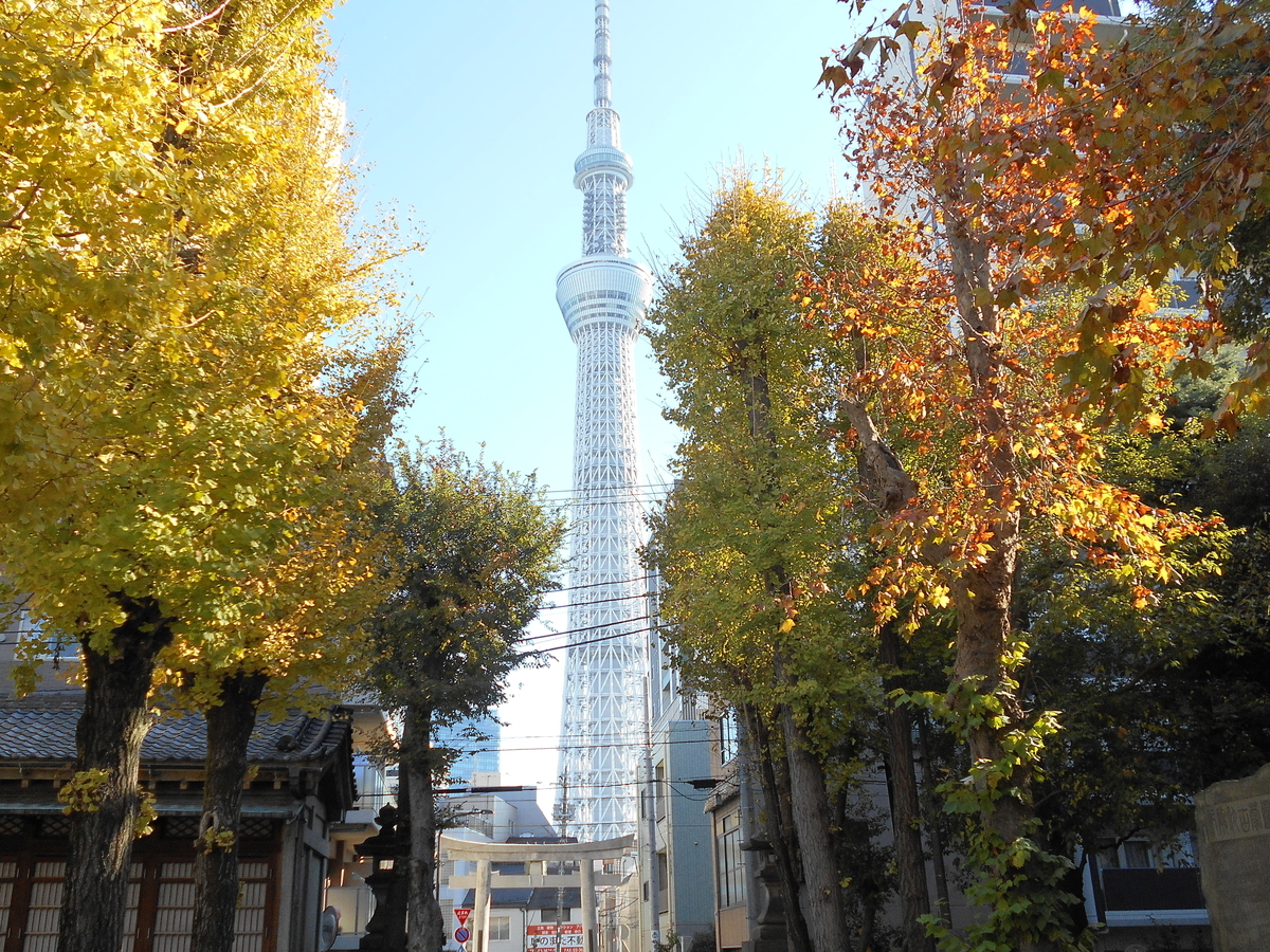 f:id:kojikint70:20191205190016j:plain f:id:kojikint70:20191205190016j:plain