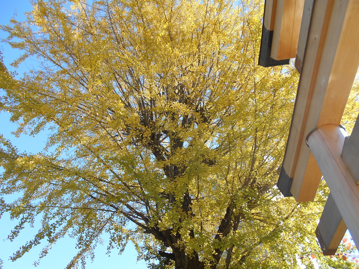 f:id:kojikint70:20191205190204j:plain f:id:kojikint70:20191205190204j:plain