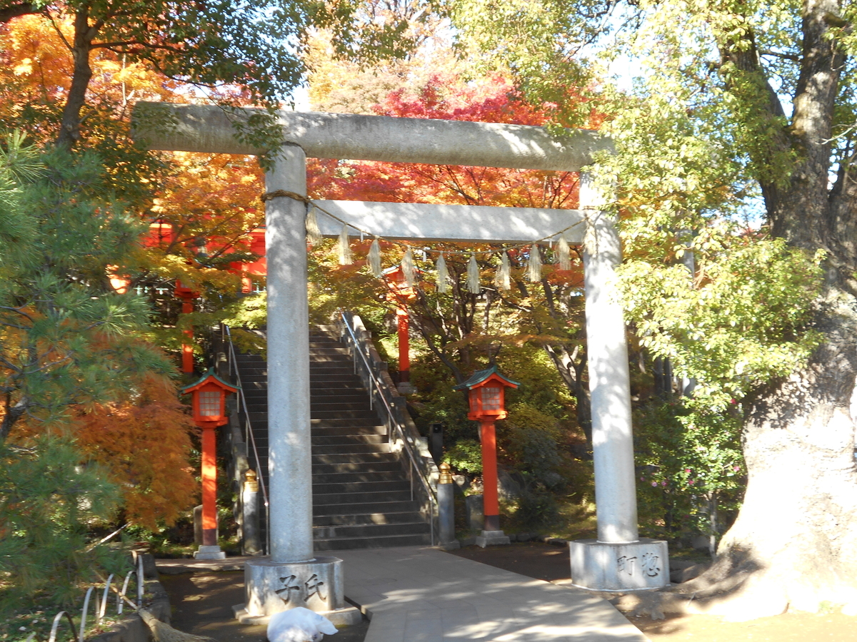 f:id:kojikint70:20191207182915j:plain f:id:kojikint70:20191207182915j:plain