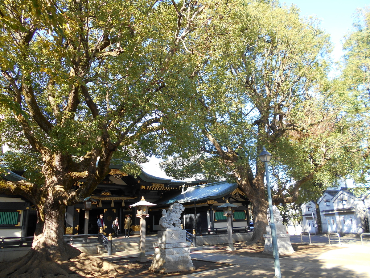 f:id:kojikint70:20191208174126j:plain f:id:kojikint70:20191208174126j:plain