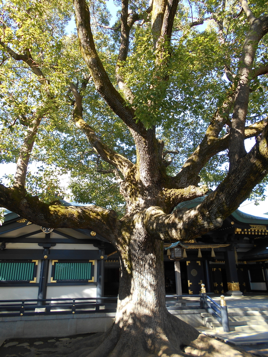 f:id:kojikint70:20191208174457j:plain f:id:kojikint70:20191208174457j:plain