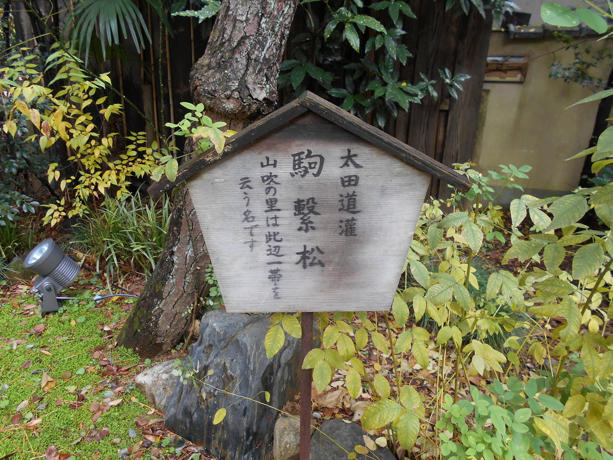 f:id:kojikint70:20191211161652j:plain