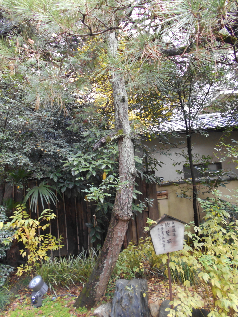 f:id:kojikint70:20191211161726j:plain