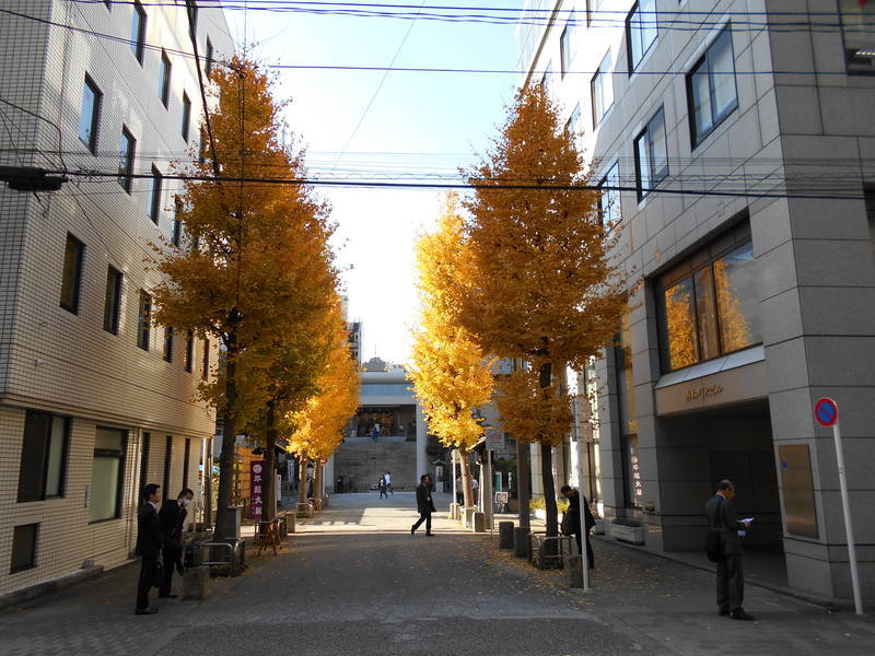 f:id:kojikint70:20191224060041j:plain f:id:kojikint70:20191224060041j:plain