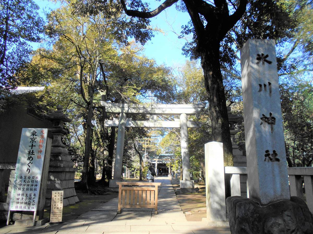 f:id:kojikint70:20200130184824j:plain f:id:kojikint70:20200130184824j:plain