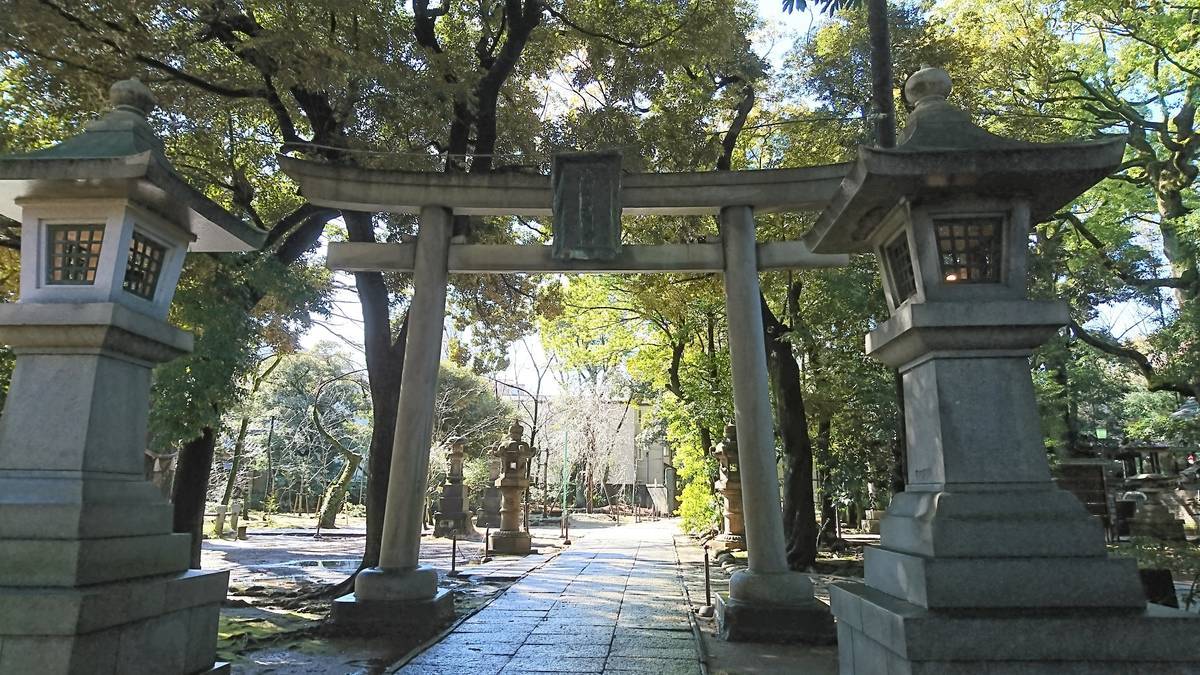 f:id:kojikint70:20200131175427j:plain f:id:kojikint70:20200131175427j:plain
