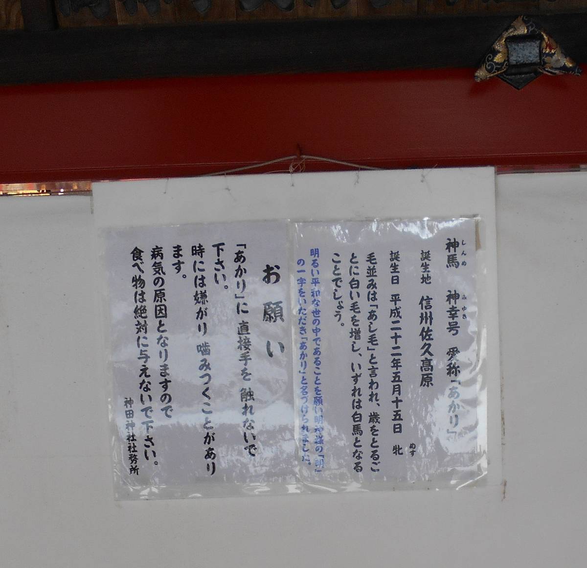 f:id:kojikint70:20200206185428j:plain