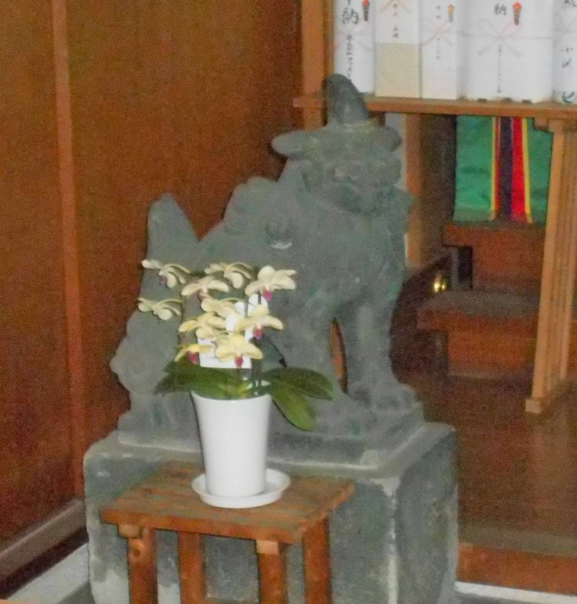 f:id:kojikint70:20200324151323j:plain f:id:kojikint70:20200324151323j:plain