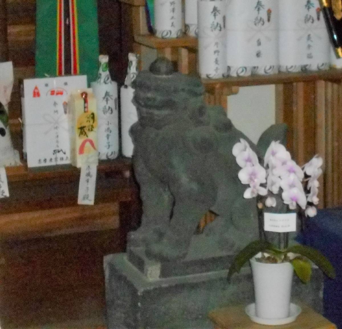 f:id:kojikint70:20200324151341j:plain f:id:kojikint70:20200324151341j:plain