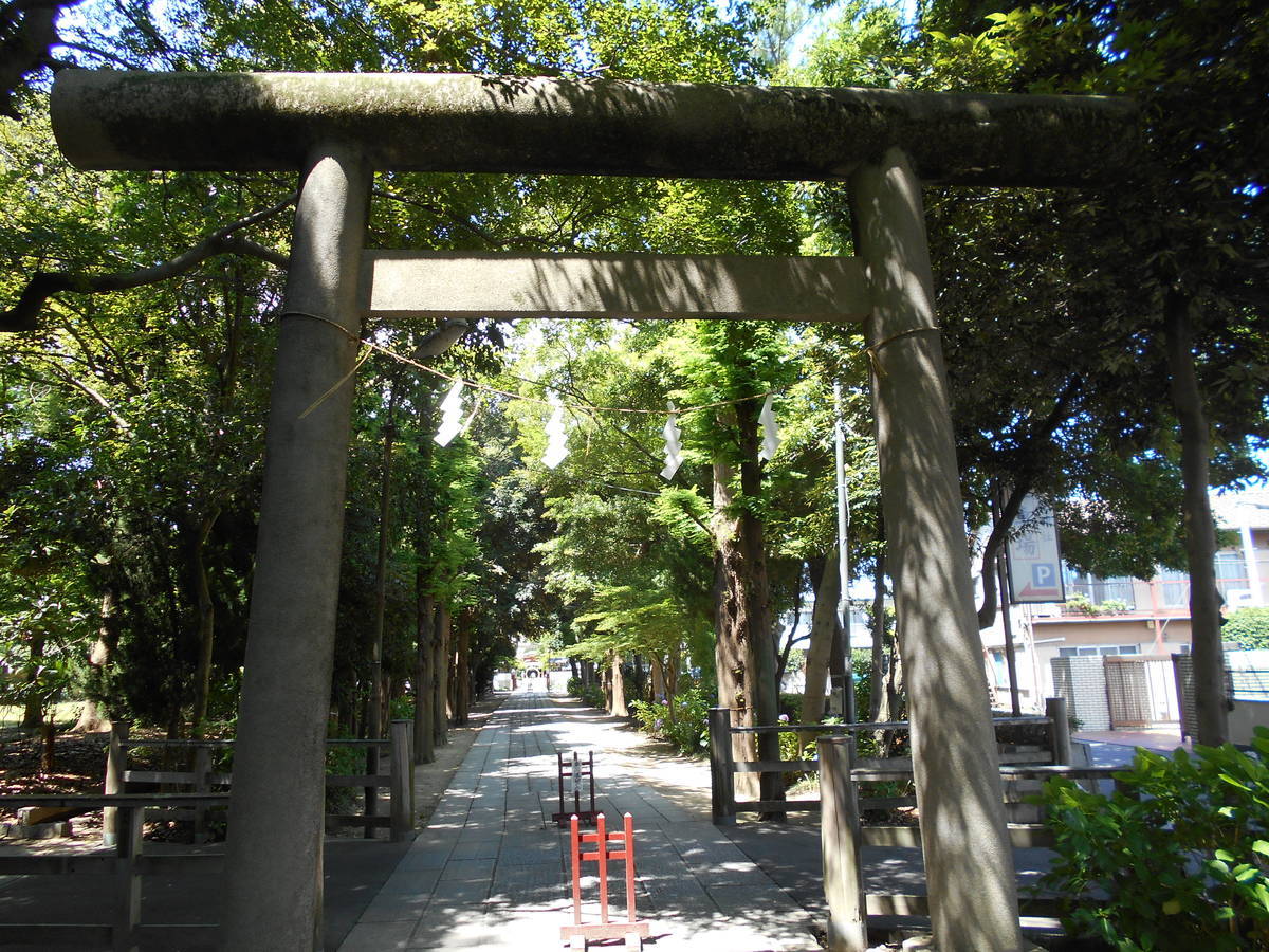 f:id:kojikint70:20200625190435j:plain