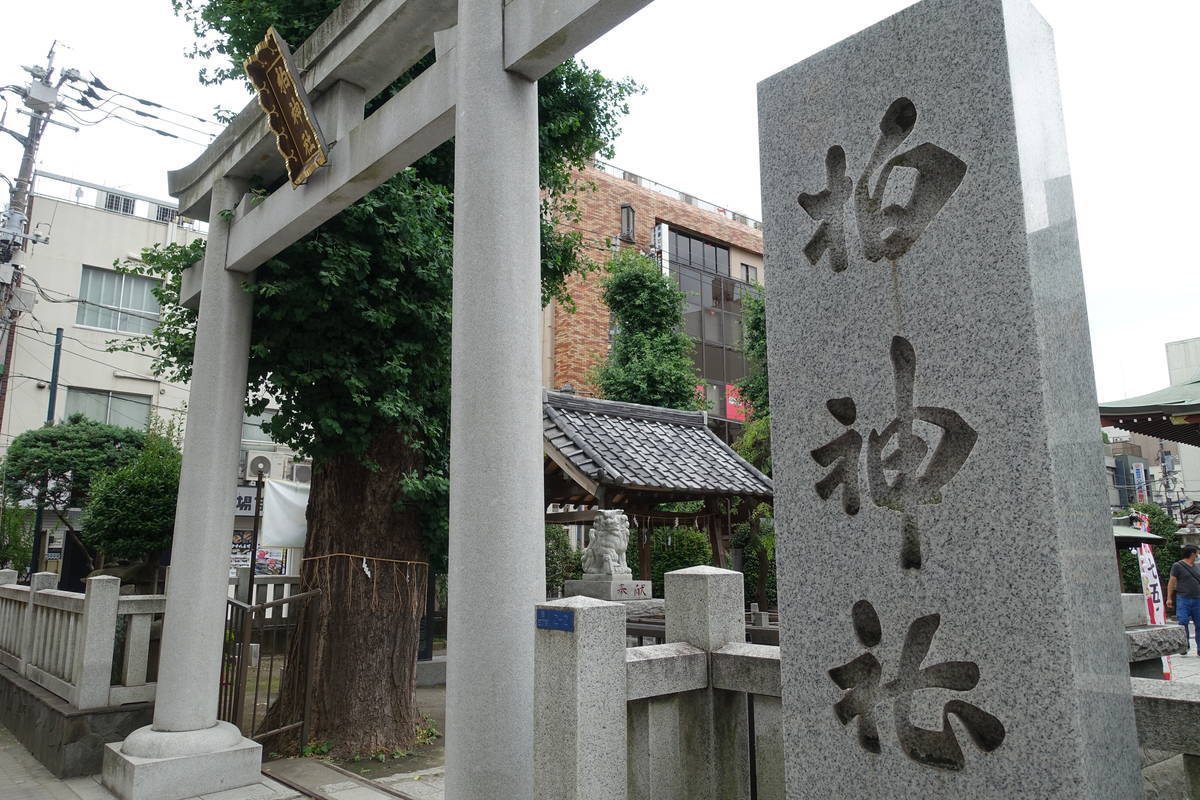 f:id:kojikint70:20200704084424j:plain