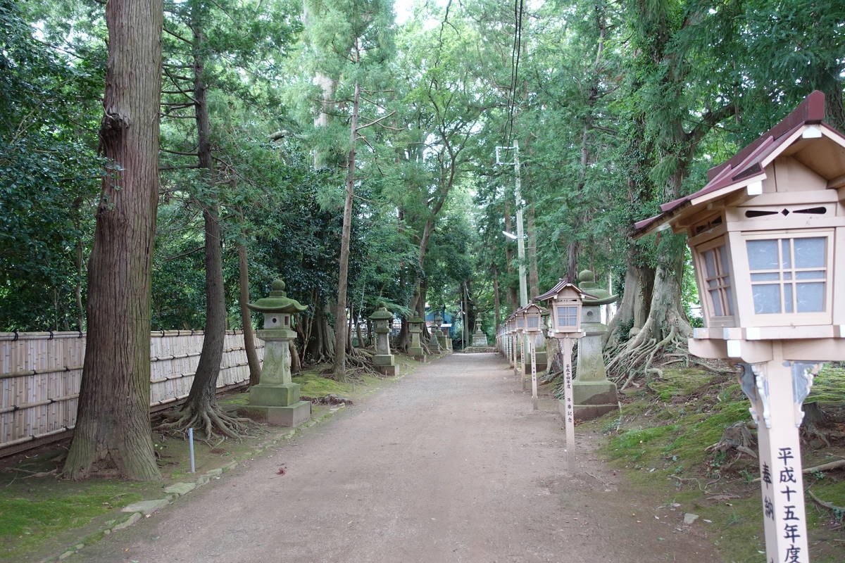 f:id:kojikint70:20200714183517j:plain