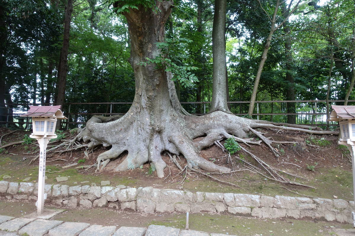 f:id:kojikint70:20200714183803j:plain