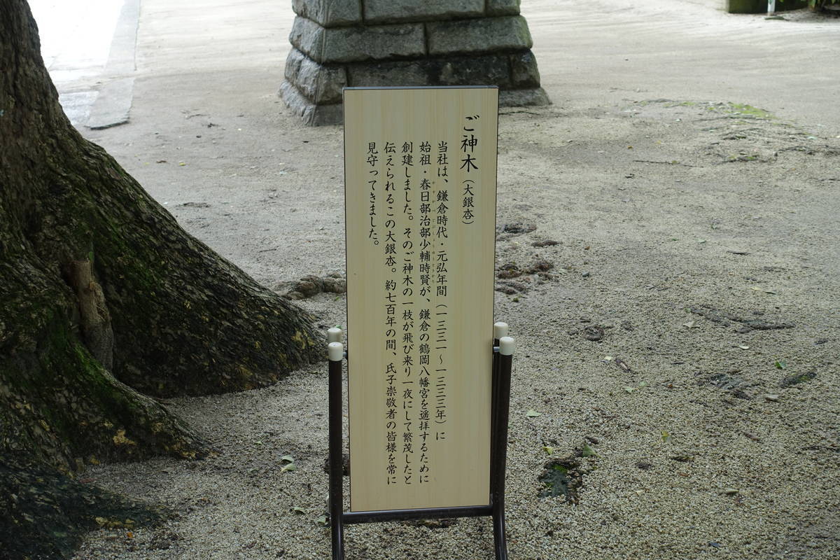 f:id:kojikint70:20200718165707j:plain f:id:kojikint70:20200718165707j:plain