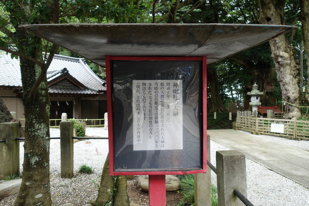 f:id:kojikint70:20200725063026j:plain