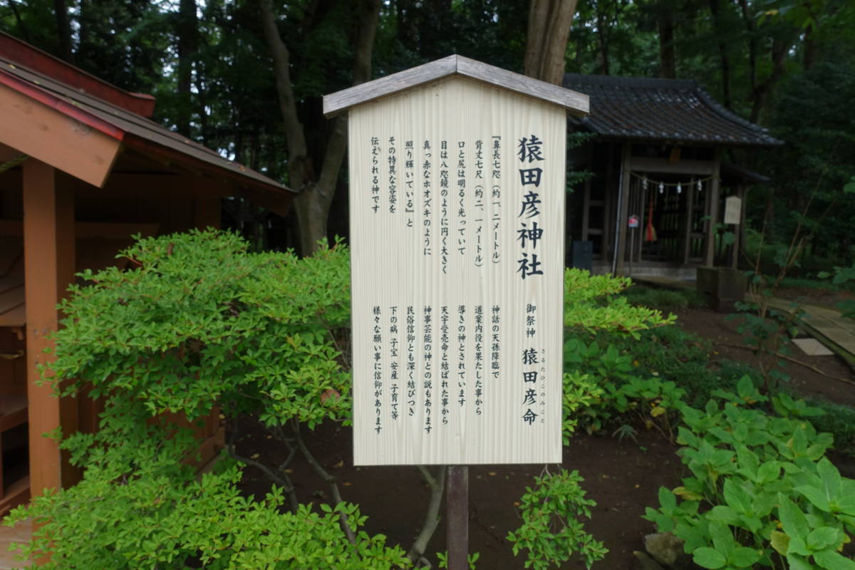 f:id:kojikint70:20200725140641j:plain