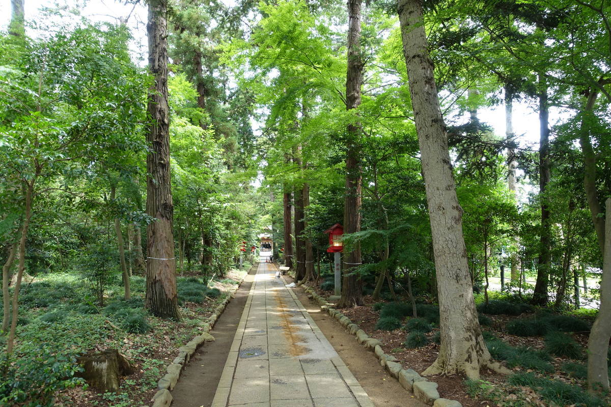 f:id:kojikint70:20200729152431j:plain f:id:kojikint70:20200729152431j:plain