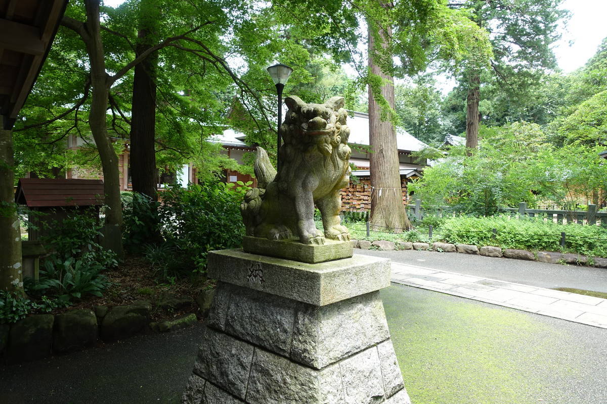 f:id:kojikint70:20200729154300j:plain f:id:kojikint70:20200729154300j:plain