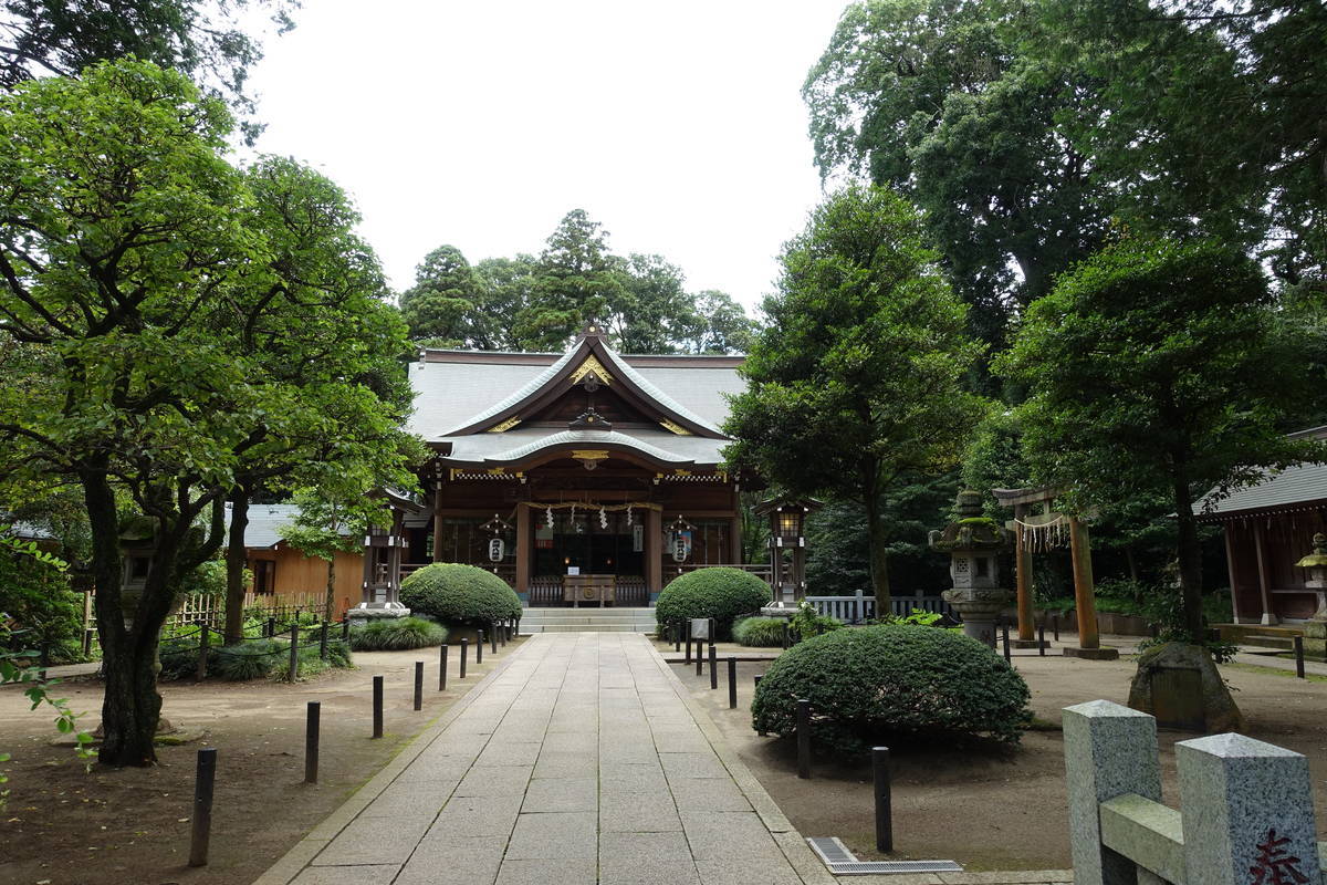 f:id:kojikint70:20200729154955j:plain f:id:kojikint70:20200729154955j:plain