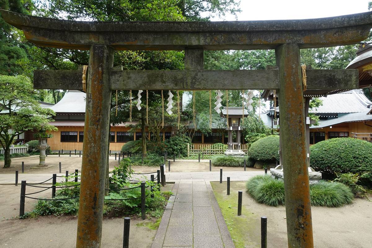 f:id:kojikint70:20200729163608j:plain f:id:kojikint70:20200729163608j:plain