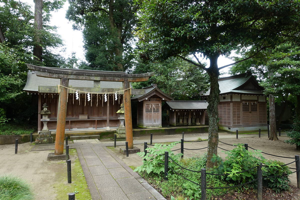 f:id:kojikint70:20200729163720j:plain f:id:kojikint70:20200729163720j:plain