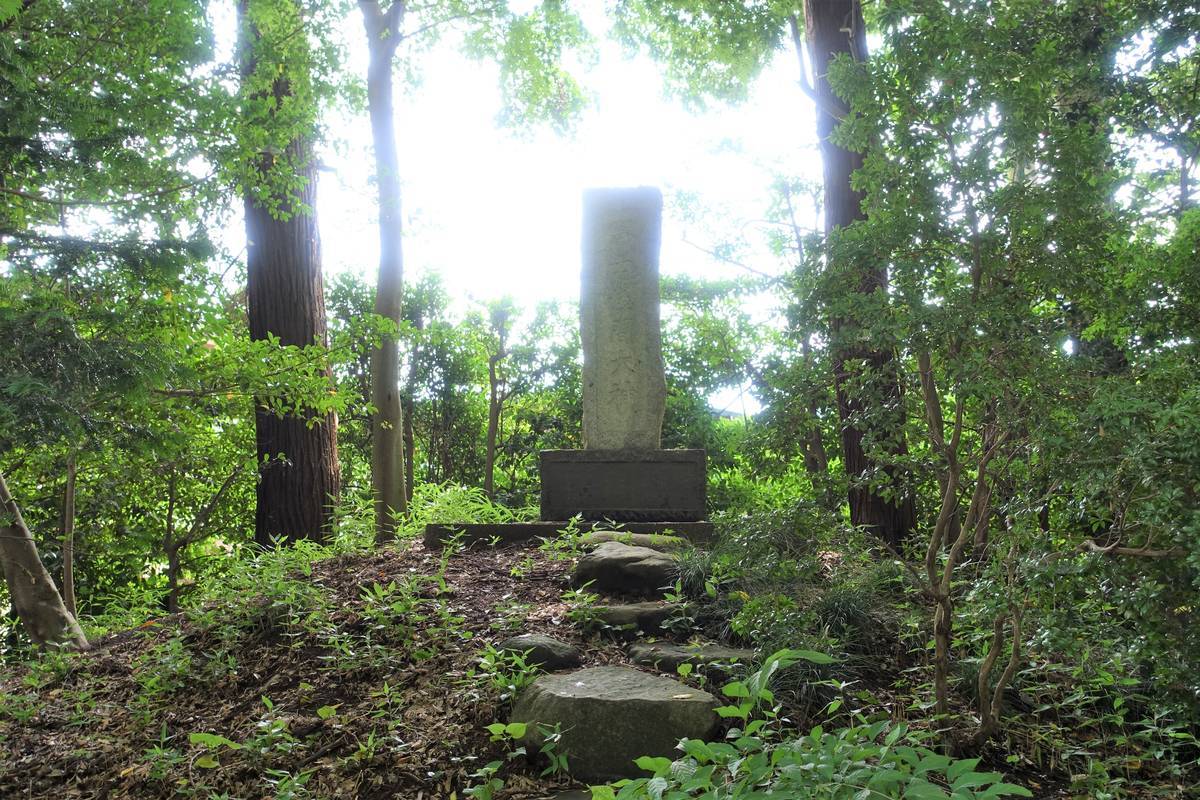 f:id:kojikint70:20200729174549j:plain f:id:kojikint70:20200729174549j:plain
