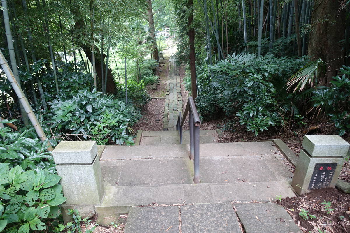 f:id:kojikint70:20200731154954j:plain f:id:kojikint70:20200731154954j:plain