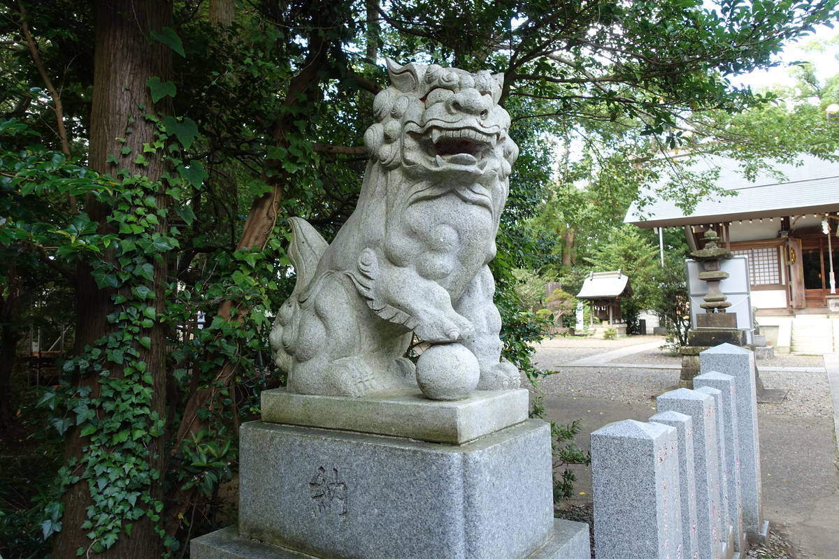 f:id:kojikint70:20200804224358j:plain f:id:kojikint70:20200804224358j:plain