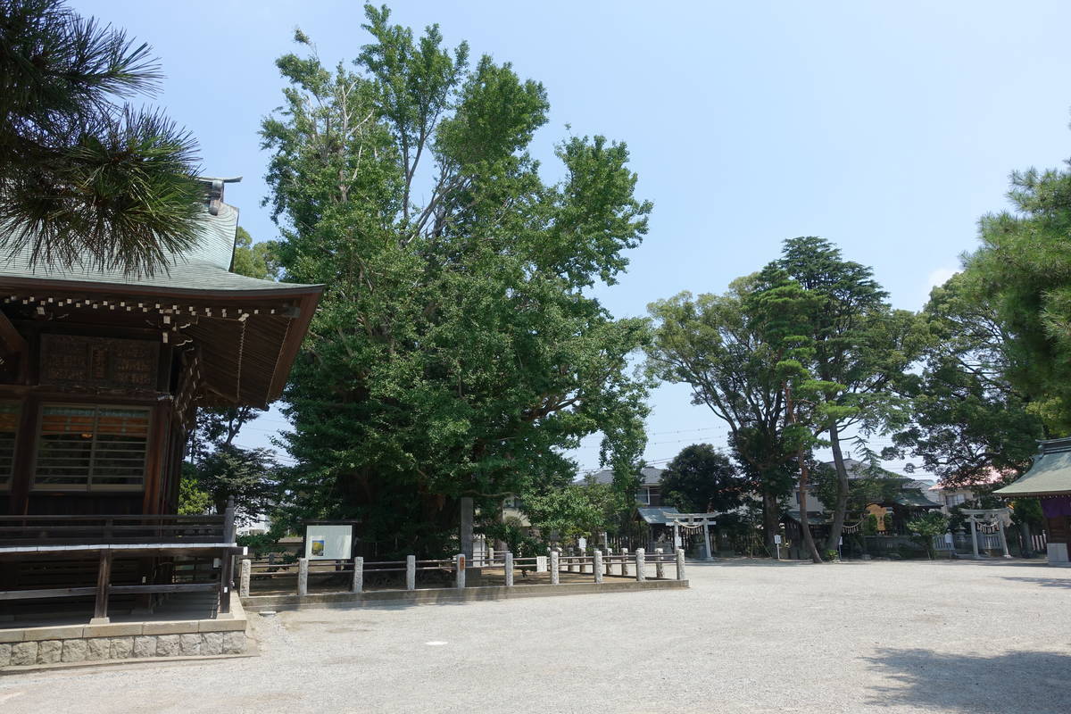 f:id:kojikint70:20200808143035j:plain f:id:kojikint70:20200808143035j:plain