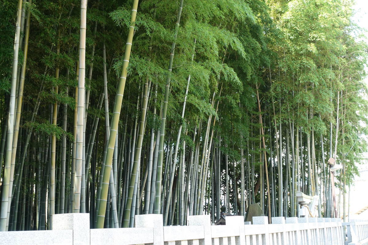 f:id:kojikint70:20200808150208j:plain f:id:kojikint70:20200808150208j:plain