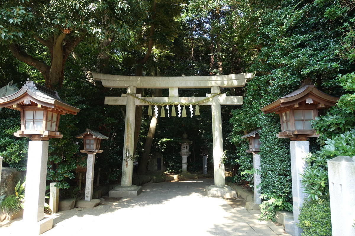 f:id:kojikint70:20200815070819j:plain f:id:kojikint70:20200815070819j:plain