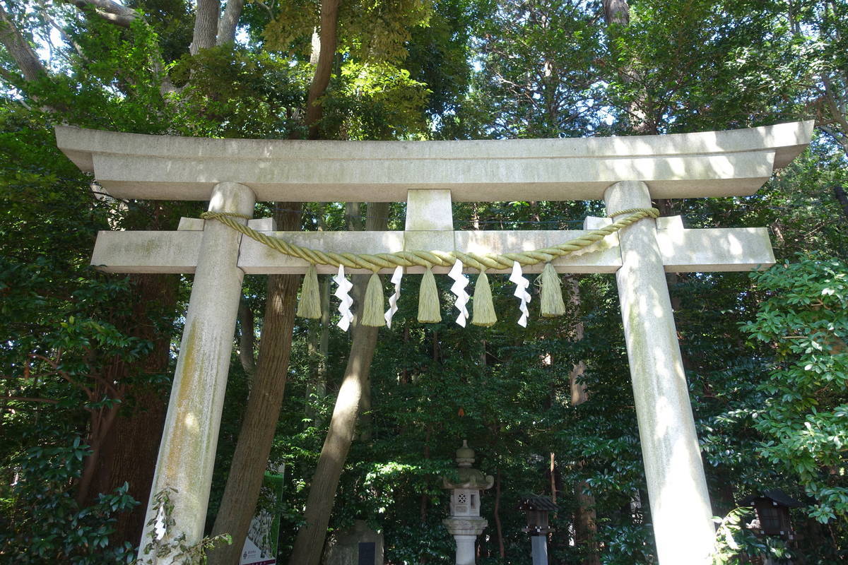 f:id:kojikint70:20200815070902j:plain f:id:kojikint70:20200815070902j:plain