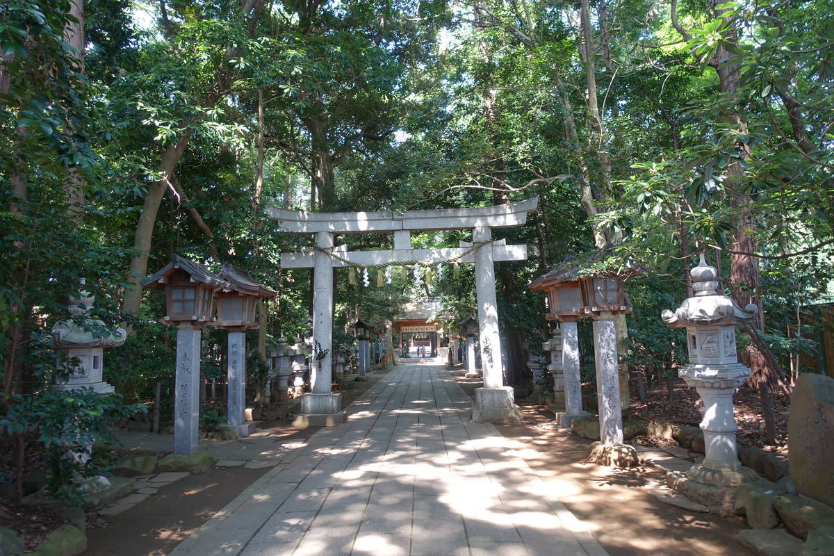 f:id:kojikint70:20200815071616j:plain f:id:kojikint70:20200815071616j:plain