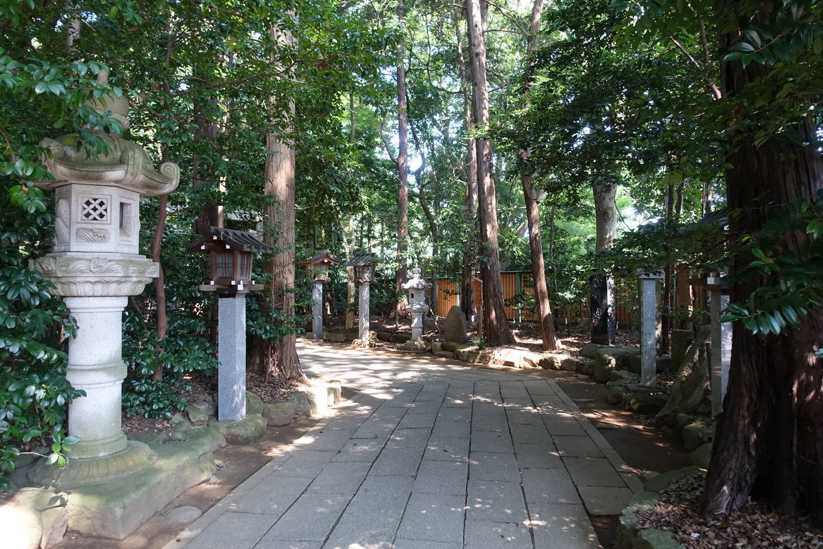 f:id:kojikint70:20200815072601j:plain f:id:kojikint70:20200815072601j:plain