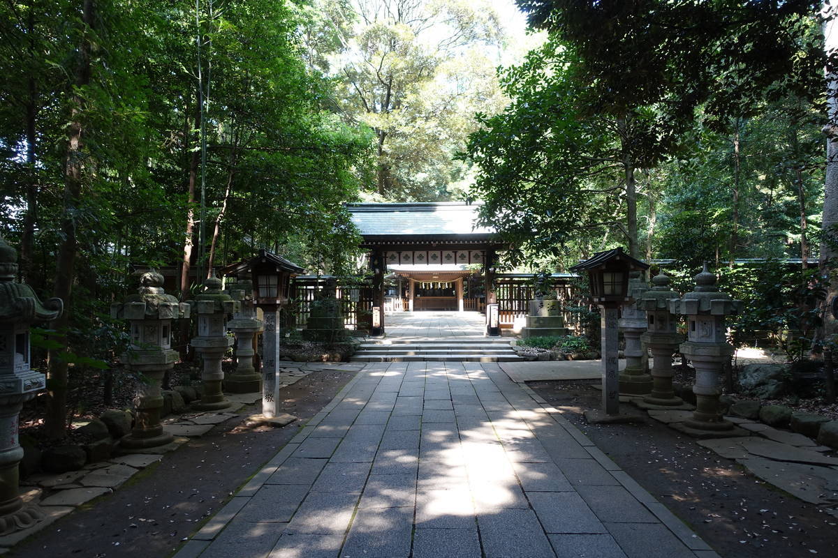 f:id:kojikint70:20200815074204j:plain f:id:kojikint70:20200815074204j:plain