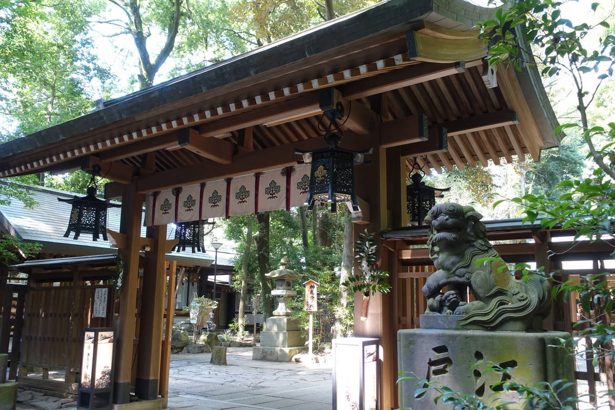 f:id:kojikint70:20200815074520j:plain f:id:kojikint70:20200815074520j:plain