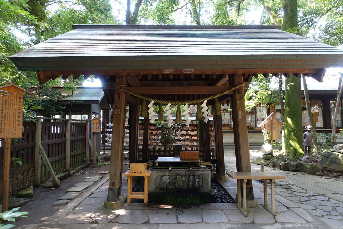 f:id:kojikint70:20200815082446j:plain f:id:kojikint70:20200815082446j:plain