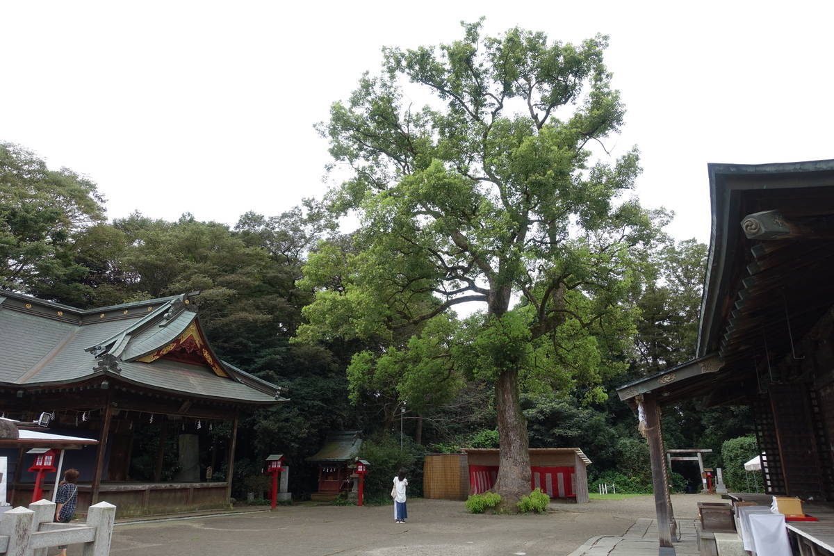 f:id:kojikint70:20200902194040j:plain