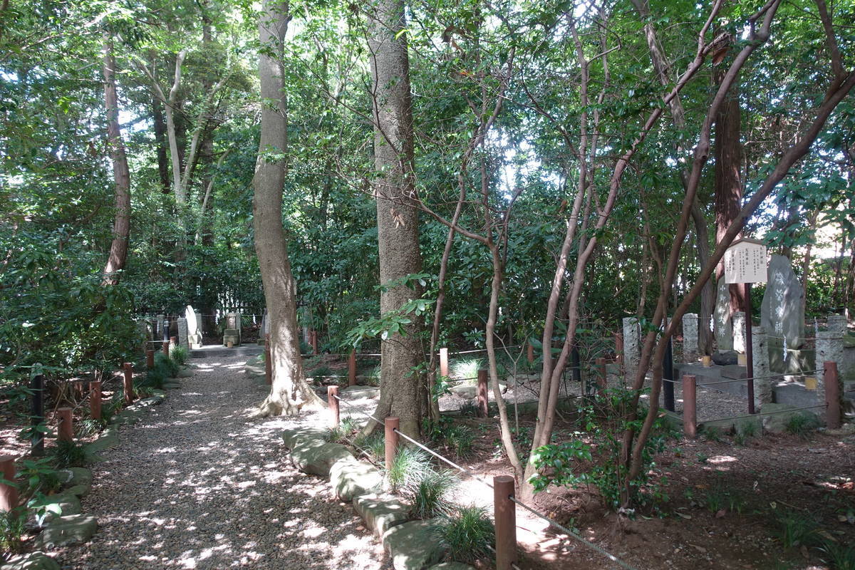 f:id:kojikint70:20200905140411j:plain f:id:kojikint70:20200905140411j:plain