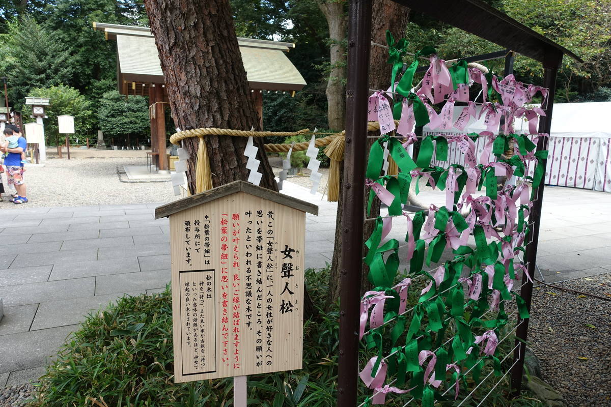 f:id:kojikint70:20200905164552j:plain f:id:kojikint70:20200905164552j:plain