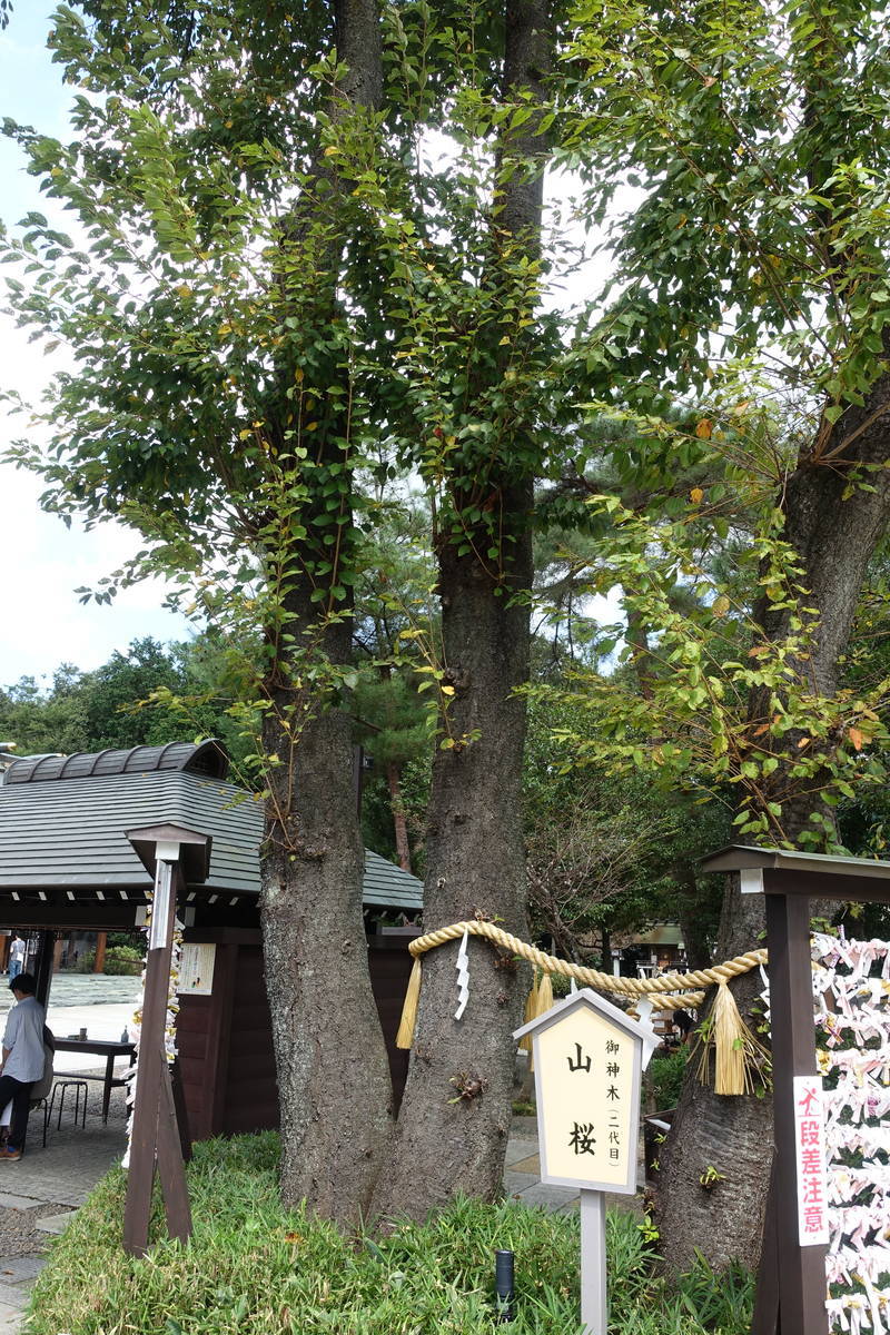 f:id:kojikint70:20200905170259j:plain f:id:kojikint70:20200905170259j:plain