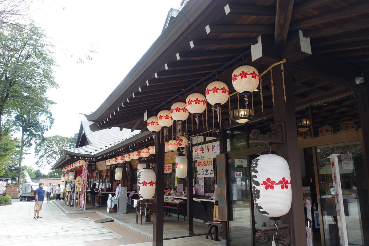 f:id:kojikint70:20200905175050j:plain f:id:kojikint70:20200905175050j:plain