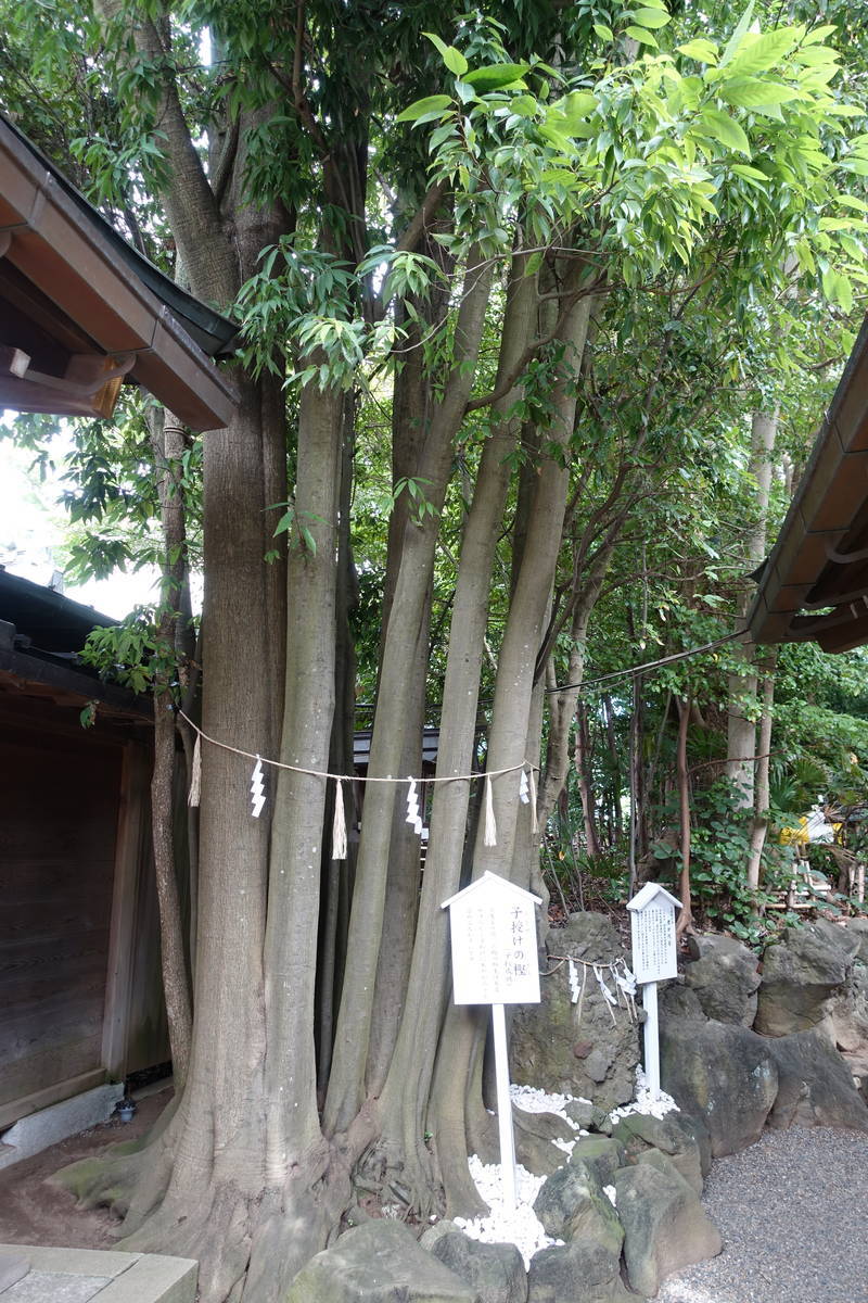 f:id:kojikint70:20200912142424j:plain