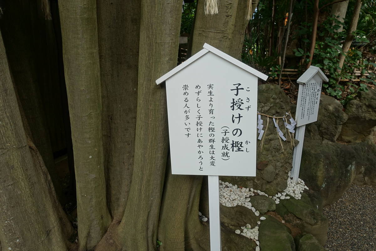 f:id:kojikint70:20200912142512j:plain