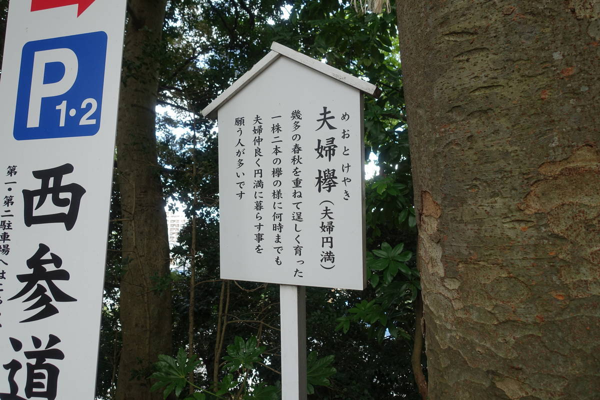 f:id:kojikint70:20200912154748j:plain