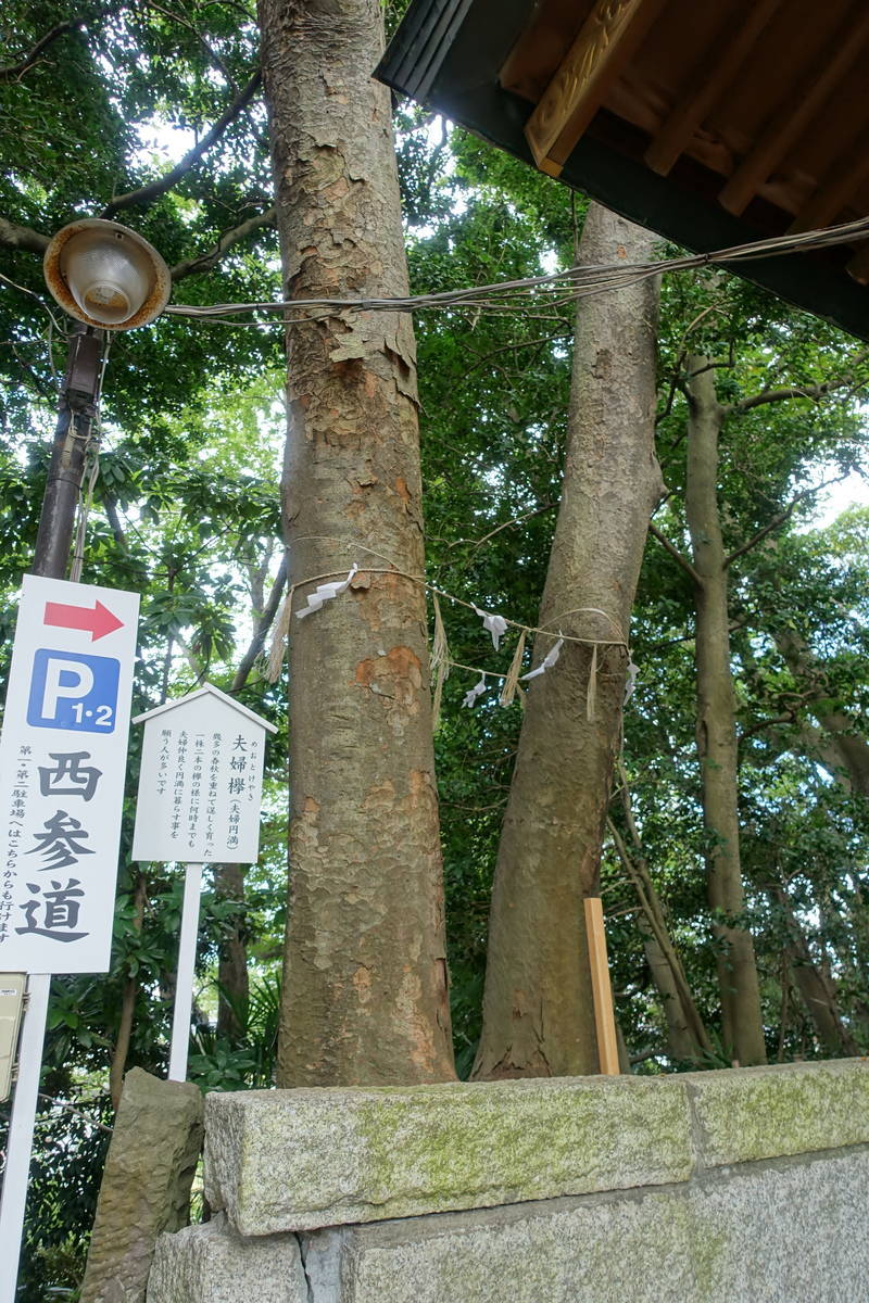 f:id:kojikint70:20200912154903j:plain