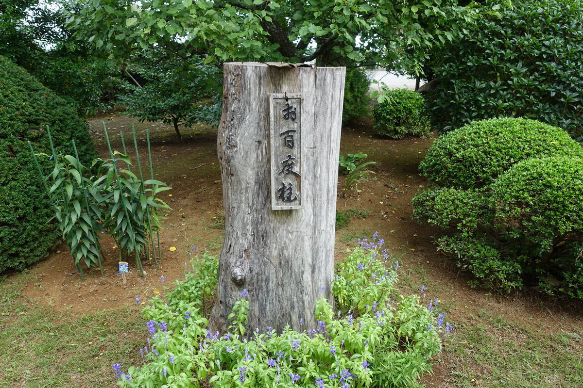 f:id:kojikint70:20200916200226j:plain f:id:kojikint70:20200916200226j:plain