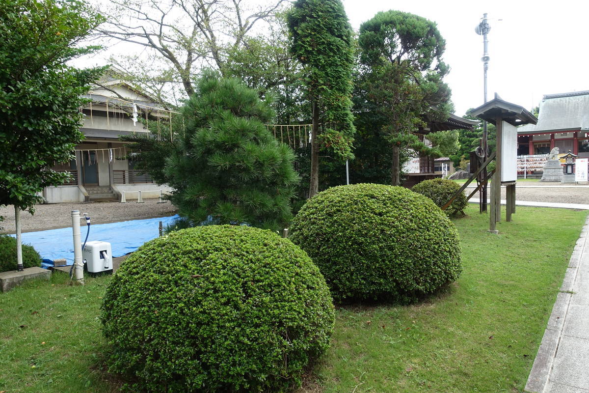 f:id:kojikint70:20200916200258j:plain f:id:kojikint70:20200916200258j:plain