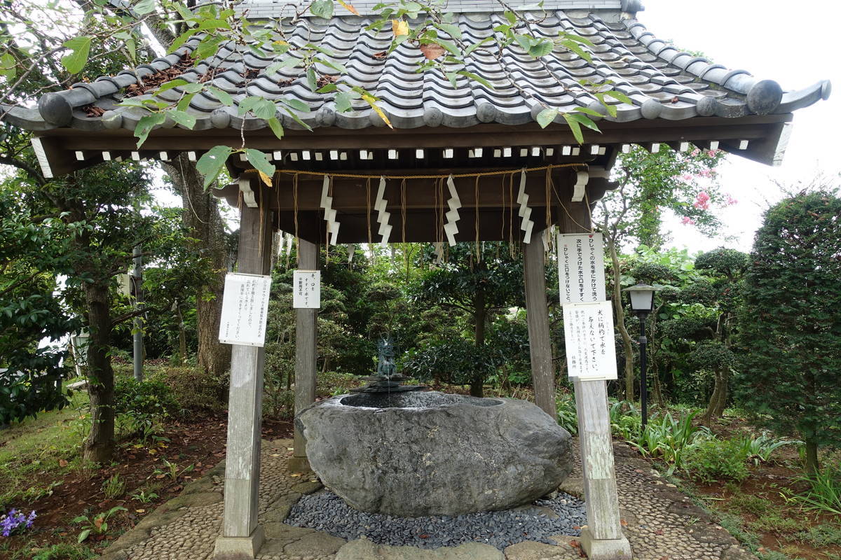 f:id:kojikint70:20200916200526j:plain f:id:kojikint70:20200916200526j:plain