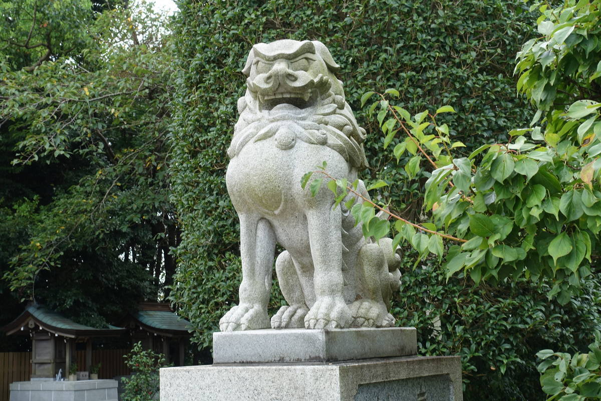 f:id:kojikint70:20200916201309j:plain f:id:kojikint70:20200916201309j:plain